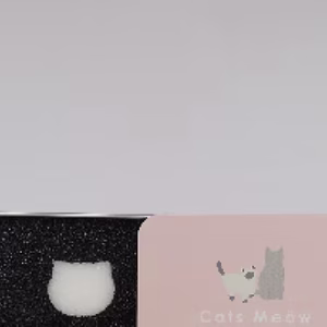 一隻喵｜洗刷神器 乾洗刷盒