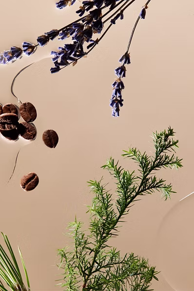 SAWAA|頭髮修護保養組:圖片 2